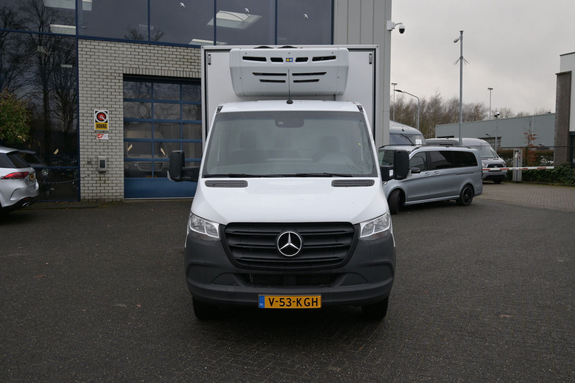 41660376-1.jpg