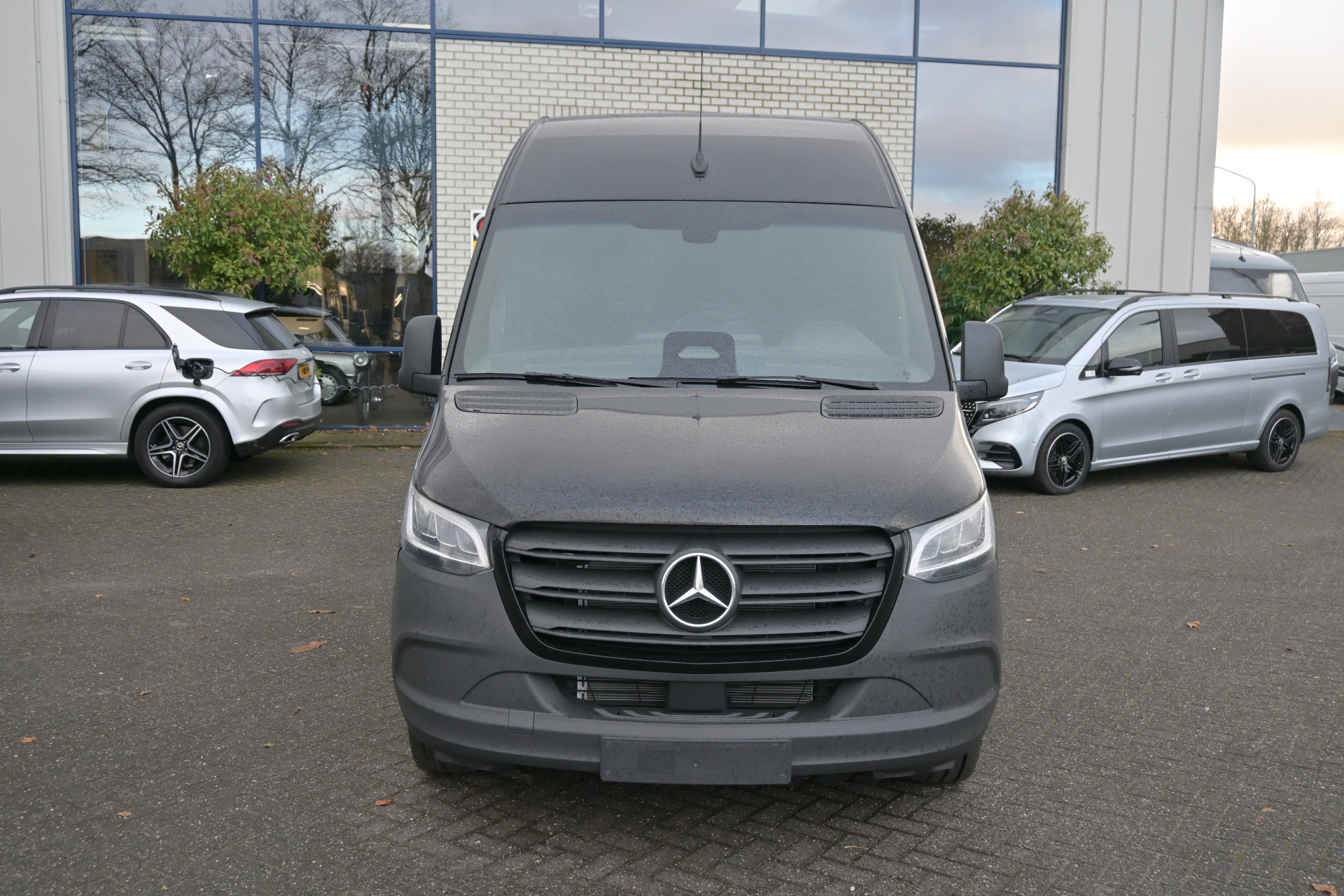 41810793-1.jpg
