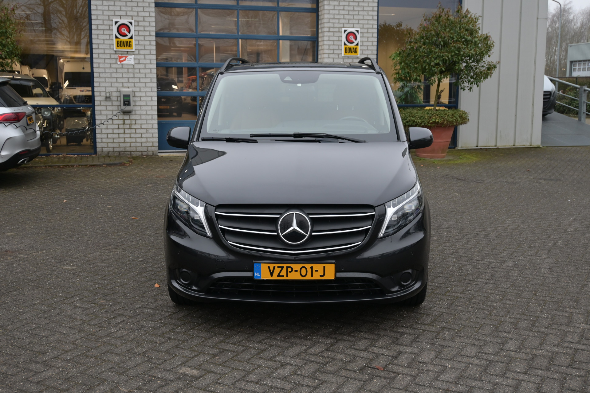 42290654-2.jpg