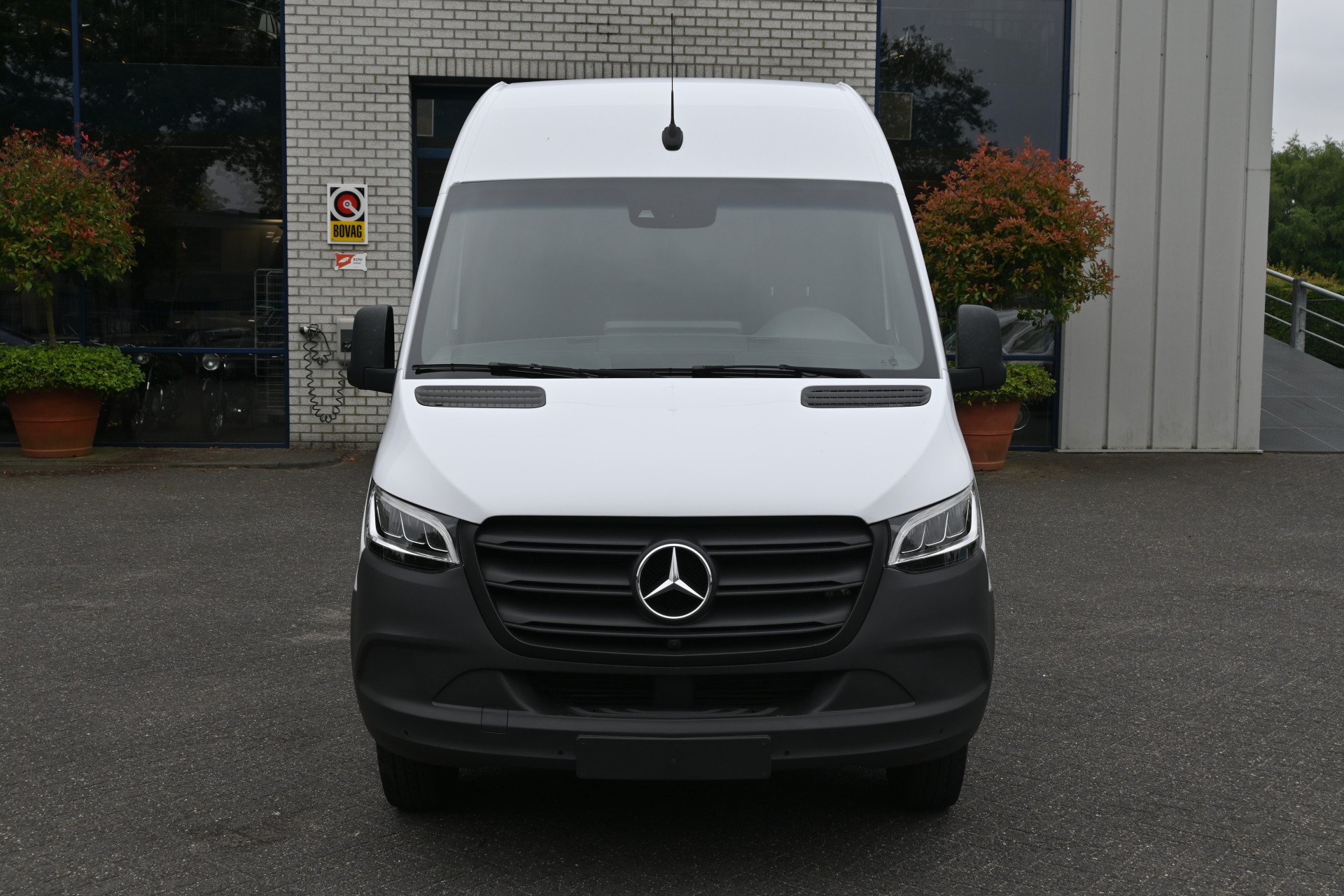 45626966-1.jpg