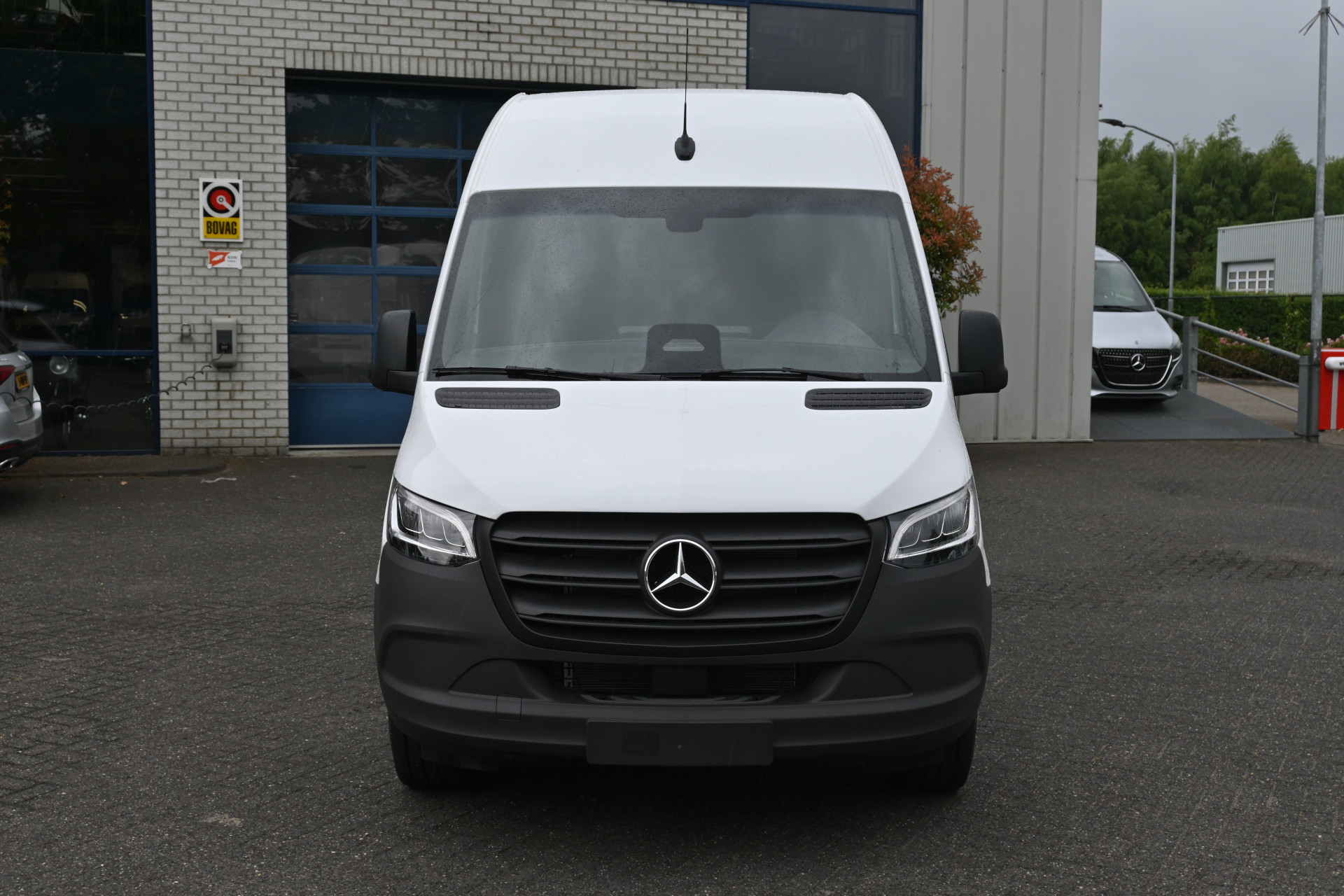 46135930-1.jpg