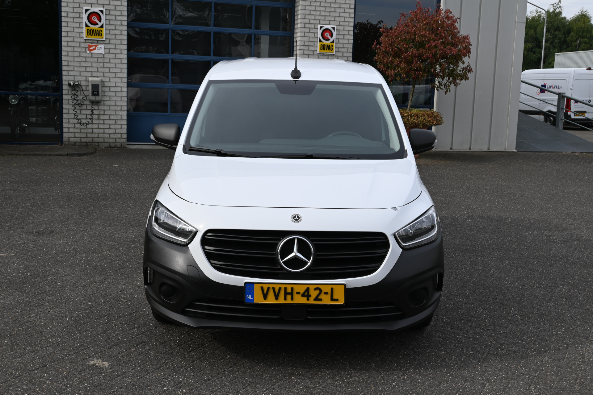 46495156-1.jpg