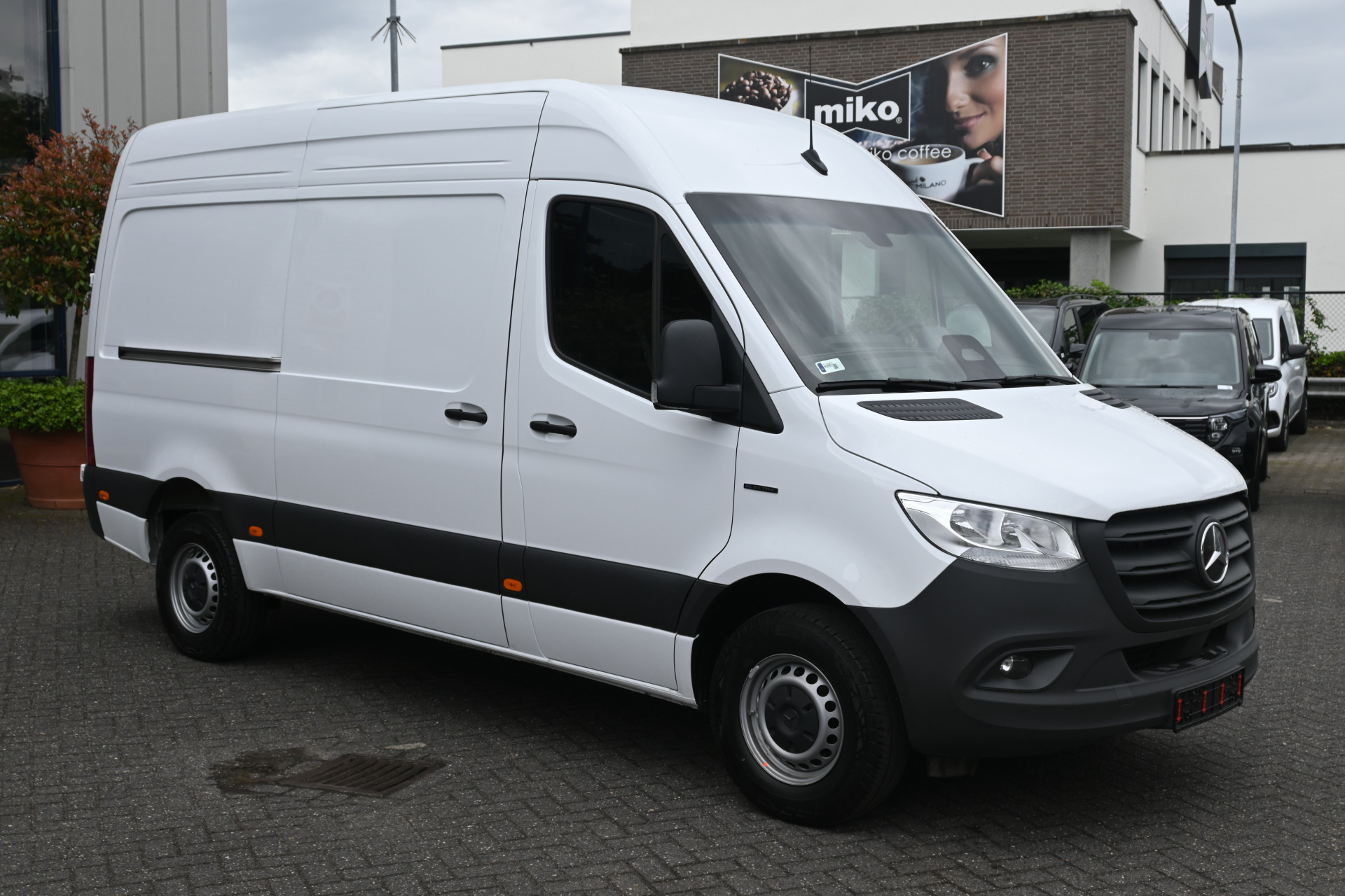 47564288-2.jpg
