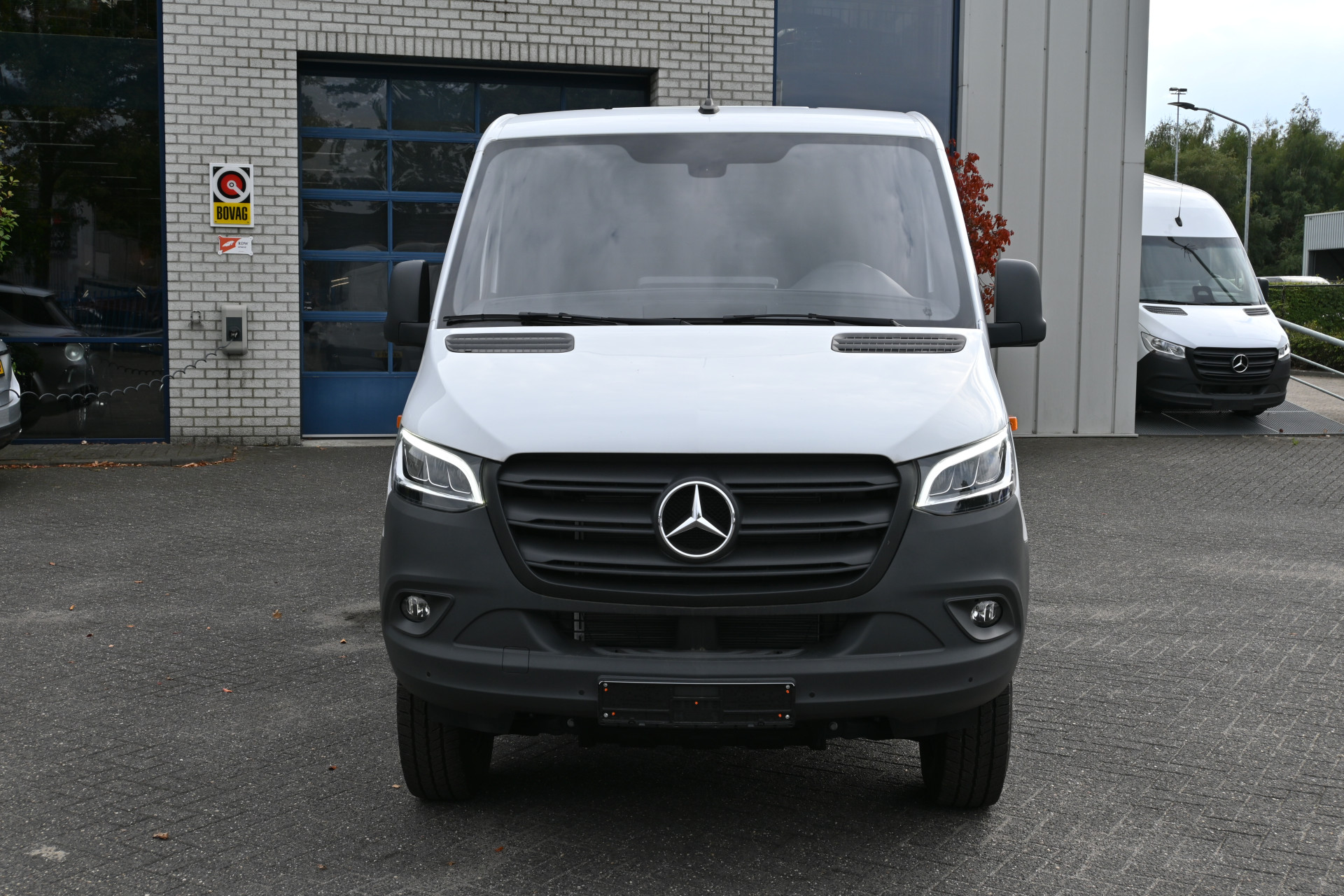 47694903-1.jpg