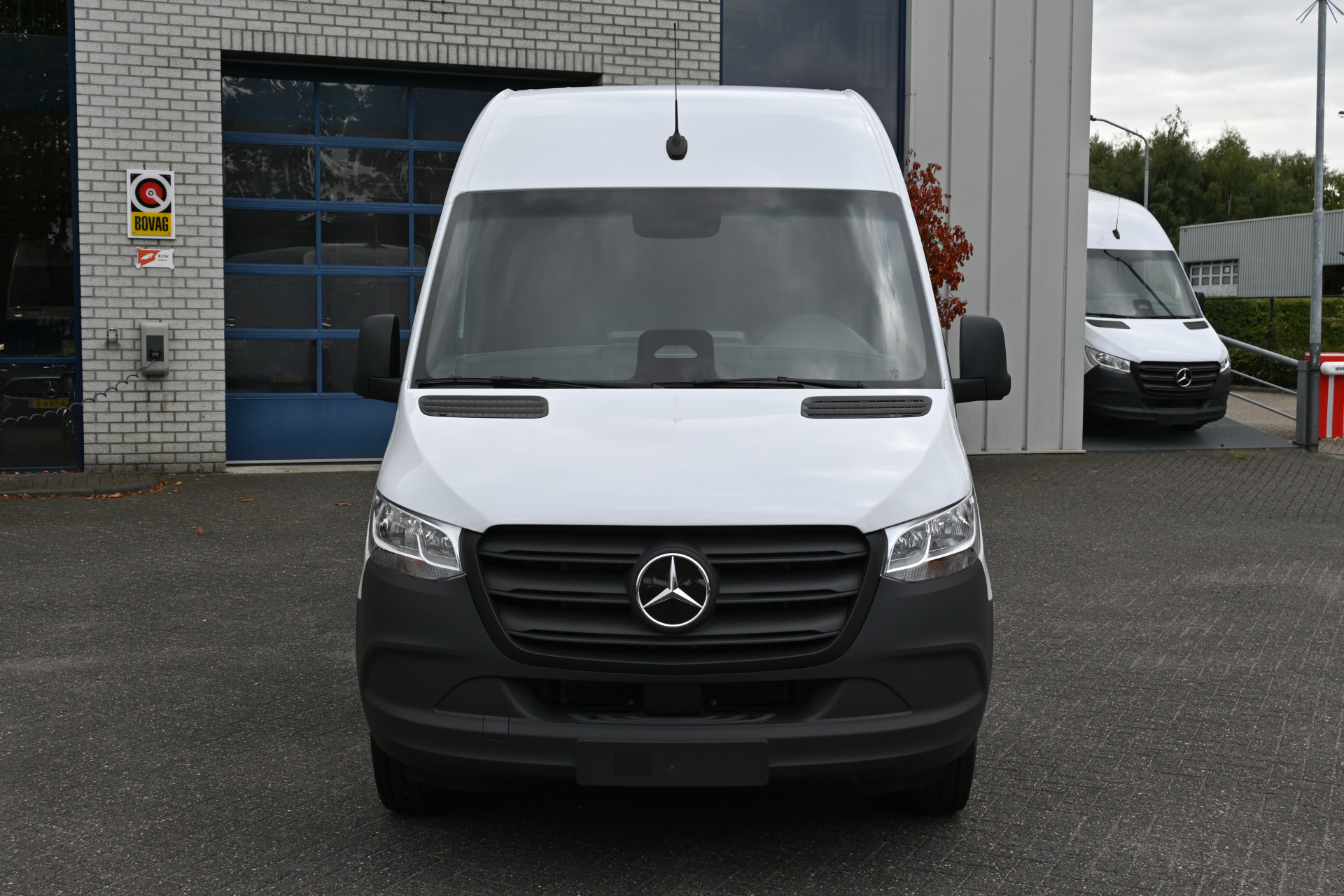 47697539-1.jpg