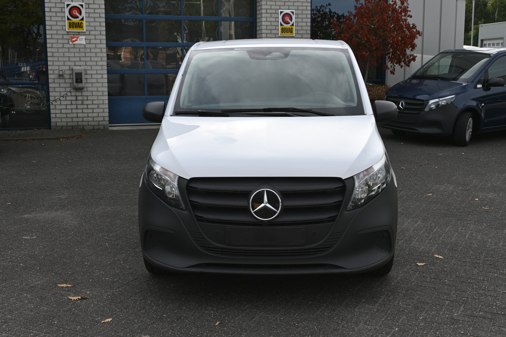 47872538-1.jpg