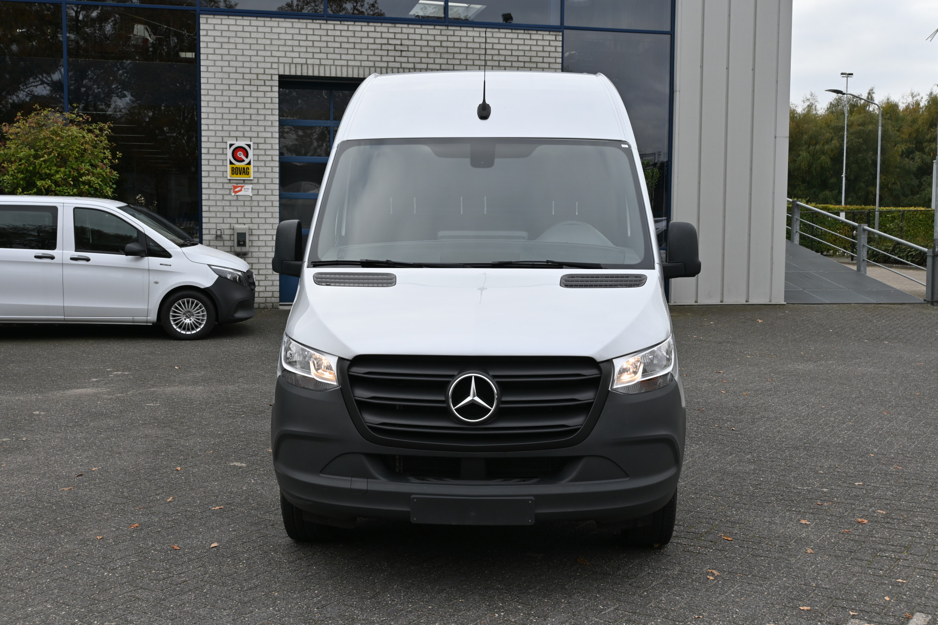 48485554-1.jpg