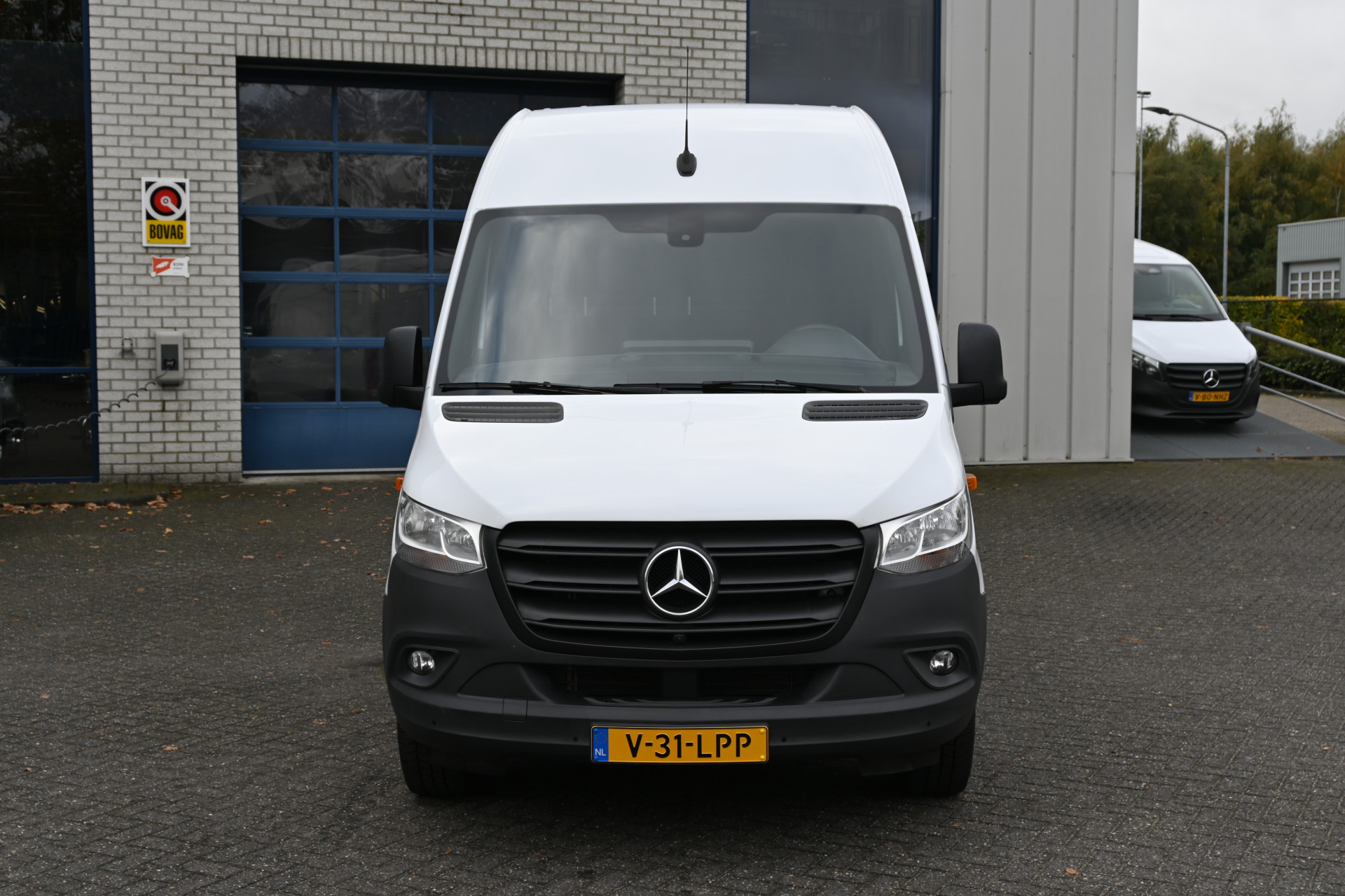 48558955-1.jpg