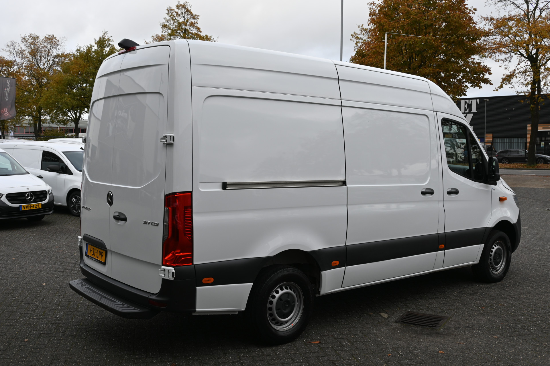 48558955-2.jpg